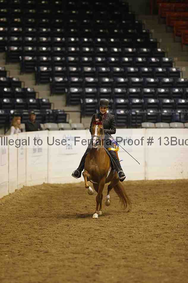 Proof 13buck_5430