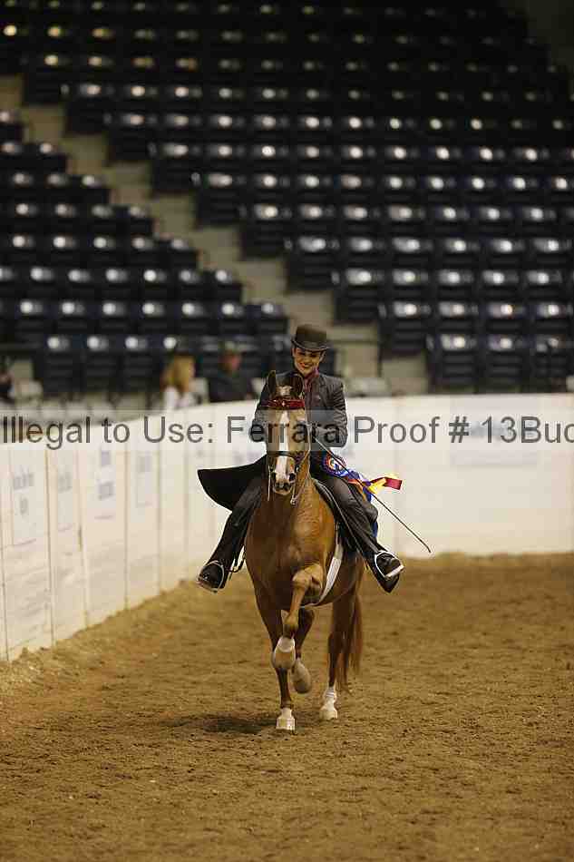Proof 13buck_5431
