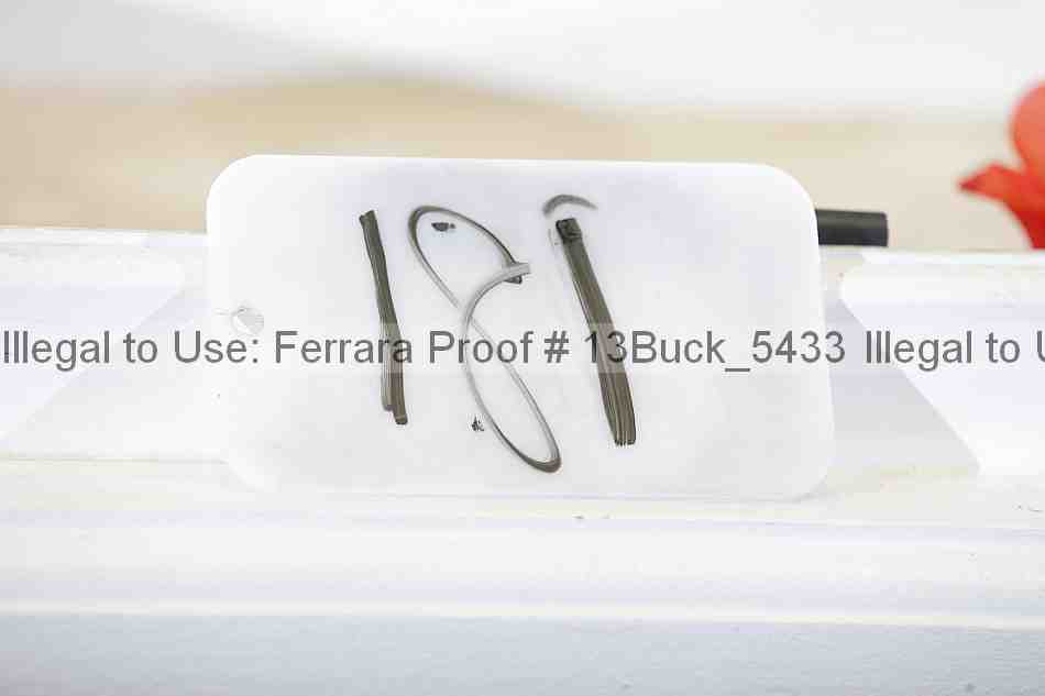 Proof 13buck_5433