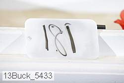 13buck_5433 proof