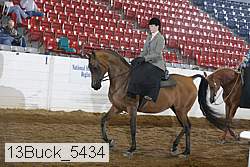 13buck_5434 proof