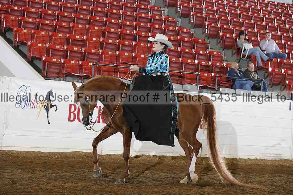 Proof 13buck_5435