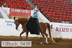 13buck_5436 proof