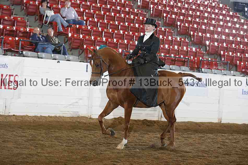 Proof 13buck_5437