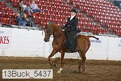 13buck_5437 proof