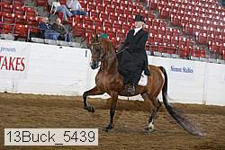 13buck_5439 proof