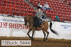 13buck_5444 proof