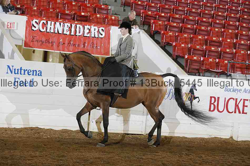 Proof 13buck_5445