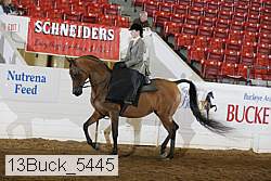 13buck_5445 proof