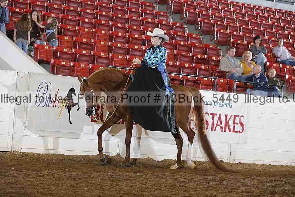 Proof 13buck_5449