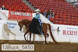 13buck_5450 proof