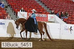 13buck_5451 proof