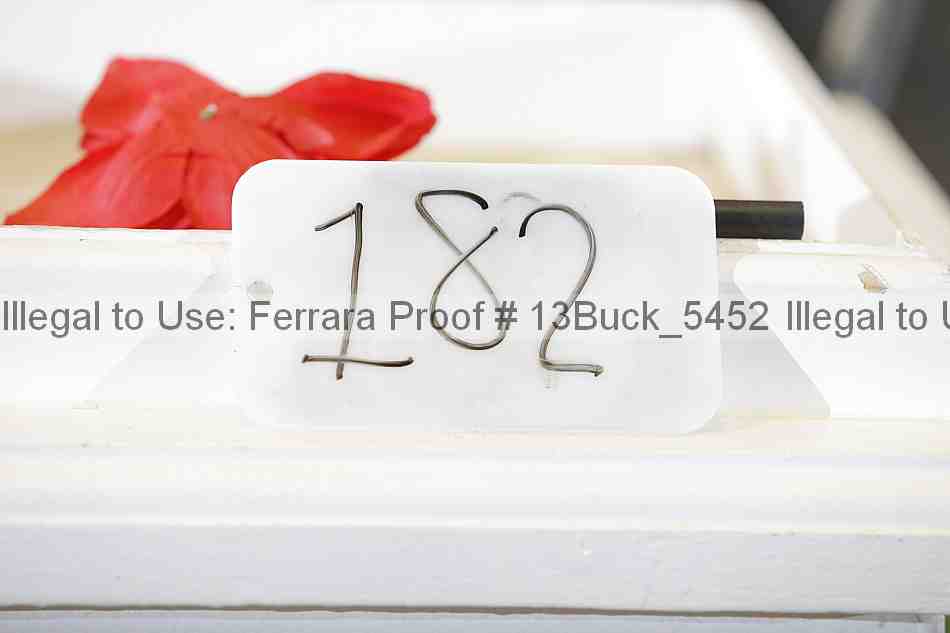 Proof 13buck_5452
