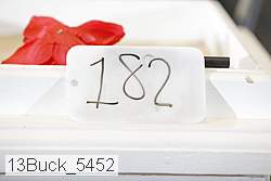 13buck_5452 proof