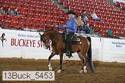 13buck_5453 proof