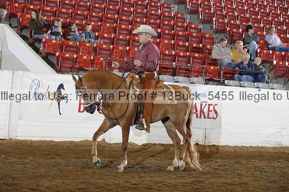Proof 13buck_5455