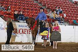 13buck_5460 proof