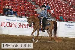 13buck_5464 proof