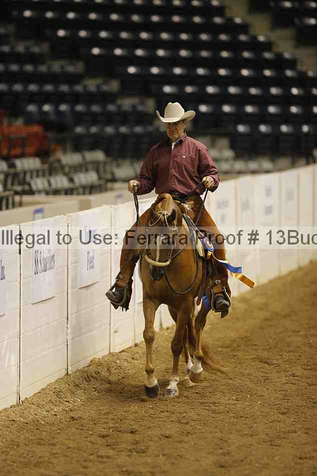 Proof 13buck_5465
