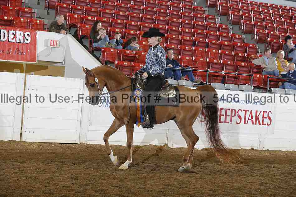 Proof 13buck_5466