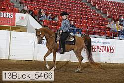 13buck_5466 proof