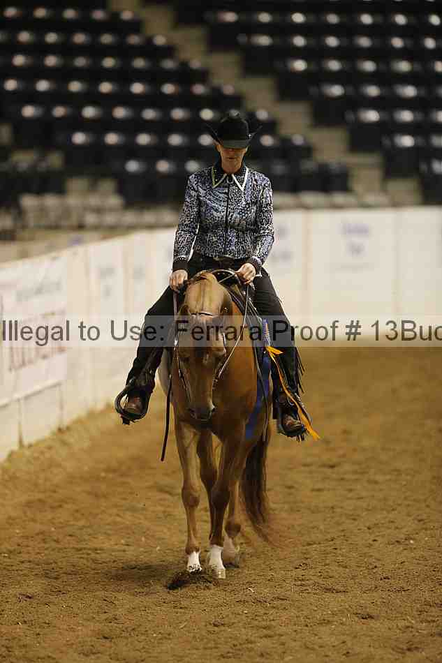 Proof 13buck_5467