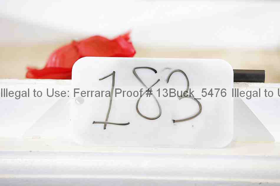 Proof 13buck_5476