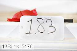 13buck_5476 proof