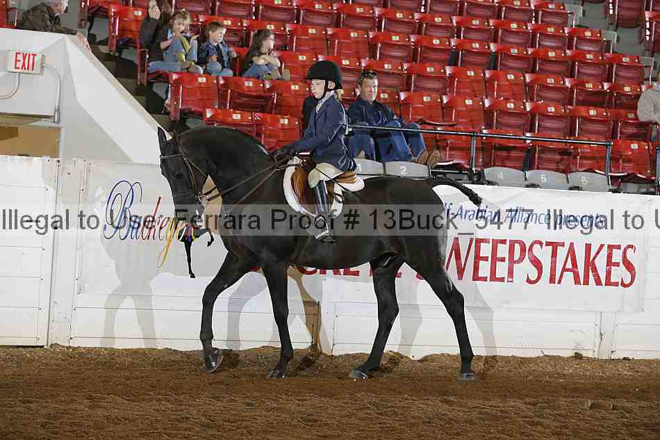 Proof 13buck_5477