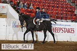 13buck_5477 proof