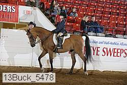 13buck_5478 proof