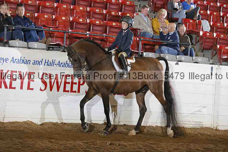 Proof 13buck_5479