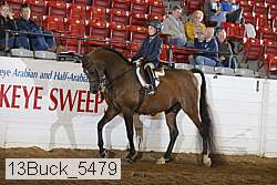 13buck_5479 proof