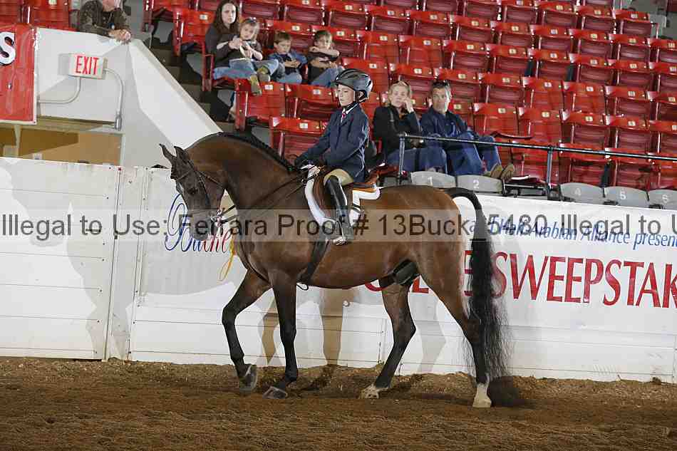 Proof 13buck_5480