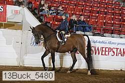 13buck_5480 proof