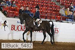 13buck_5482 proof