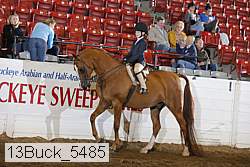 13buck_5485 proof