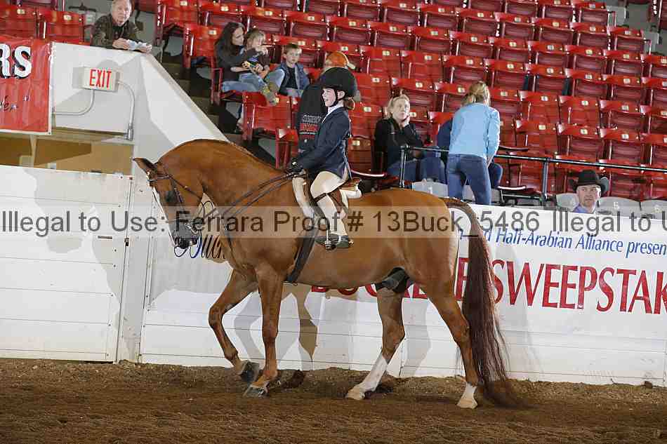 Proof 13buck_5486