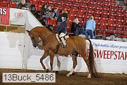 13buck_5486 proof