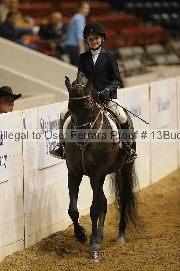 Proof 13buck_5487