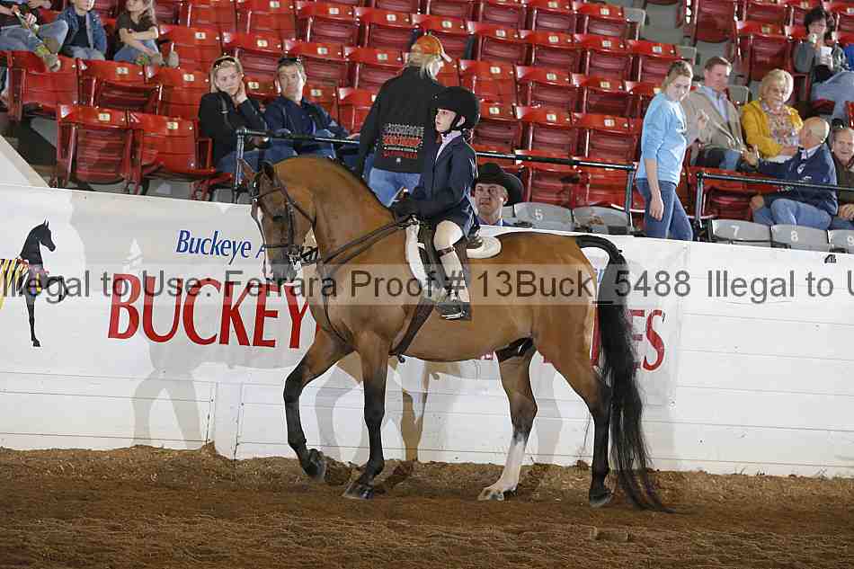 Proof 13buck_5488