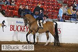 13buck_5488 proof