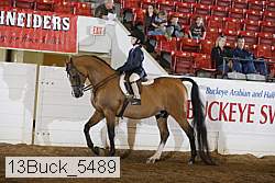 13buck_5489 proof