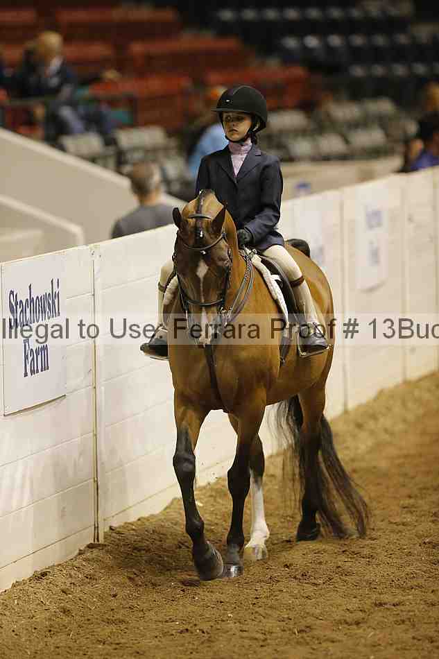 Proof 13buck_5491
