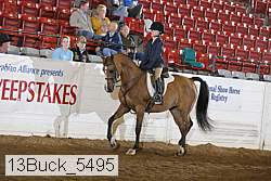 13buck_5495 proof