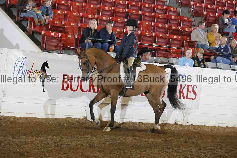 Proof 13buck_5496