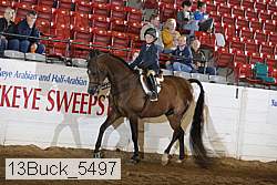 13buck_5497 proof
