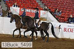 13buck_5499 proof