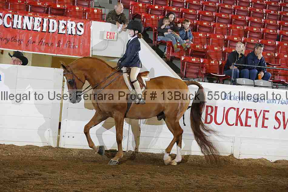 Proof 13buck_5501