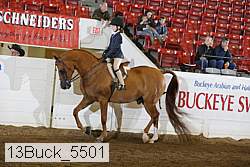 13buck_5501 proof